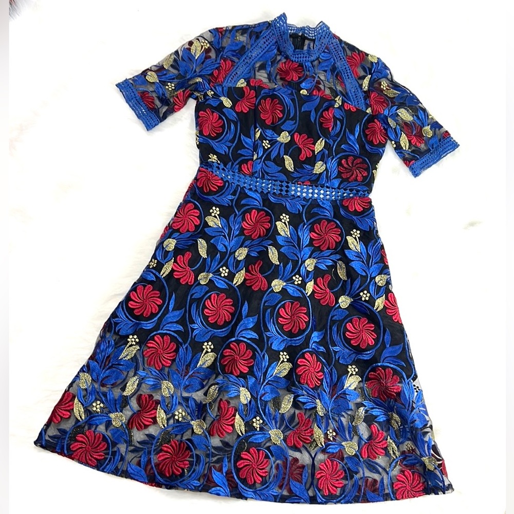 Anthropologie Blue and Red Floral Dress